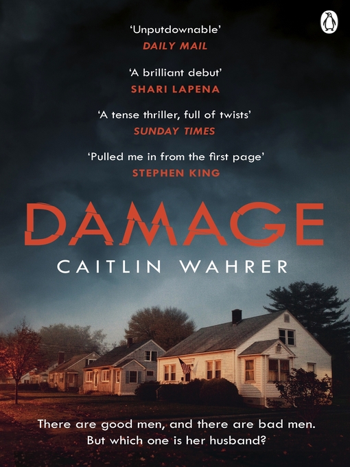Cover image for Damage